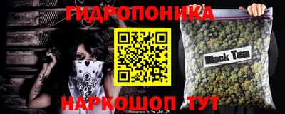 таблы Сланцы