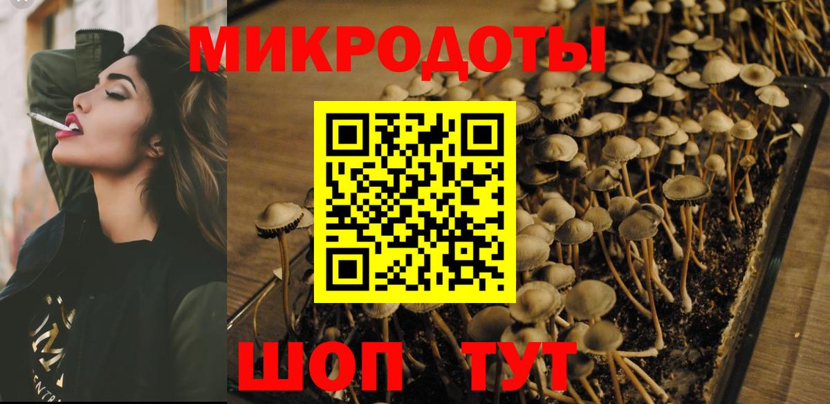 Псилоцибиновые грибы GOLDEN TEACHER  Псилоцибиновые грибы ЛСД  Рославль  Вход с VPN 